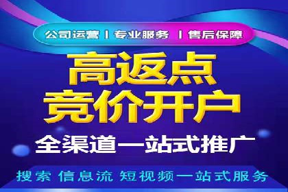 百度竞价入门必看：实操技巧与成功案例